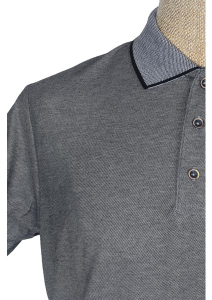 Cengiz Inler Polo Yaka Kısa Kollu Erkek T-Shirt fiyatları
