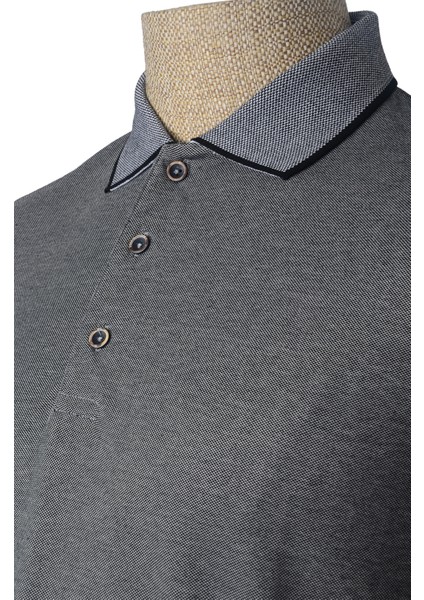 Cengiz Inler Polo Yaka Kısa Kollu Erkek T-Shirt modelleri