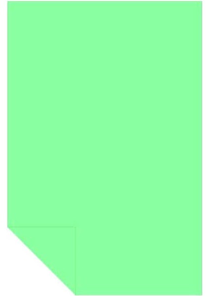 Kolej Fon Kartonu 35X50 cm No:09 Açık Yeşil 100'LÜ fiyatları