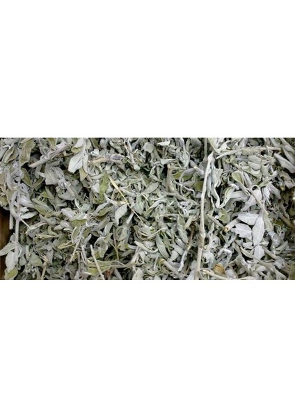 Doğal Çalba (Salvia Fruticosa) - Saf ve Taze Adaçayı