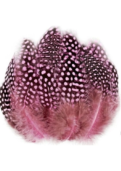 Decor Bırd Feather 50 Adet Puantiyeli Pembe Siyah Tüy Dekor - 3 Paket