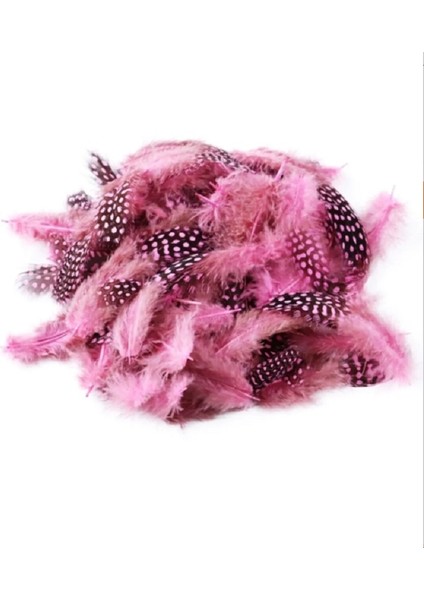 Decor Bırd Feather 50 Adet Puantiyeli Pembe Siyah Tüy Dekor - 3 Paket