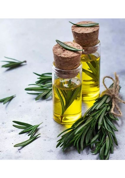 Biberiye Yağı (20 Ml)
