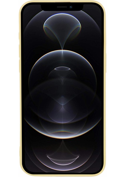 Apple iPhone 12 Pro Telefon Kılıfı (Yurt Dışından)