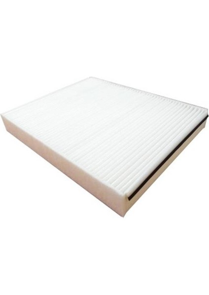 Polen Fıltresı Mercedes W205 S205 C205 A205 C257 W213 W166 W463