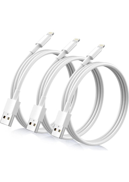 Hızlı Şarj Apple Ios iPhone Şarj Cihazı Aleti Lightining Kablo Adaptör 8 x Xr 11 12 13 14