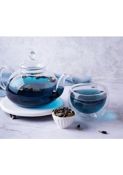 Mini Fide, Mavi Kelebek Sarmaşığı Çiçeği Fidesi, Mavi Çay, Clitoria Ternatea Tea Blue Butterfly