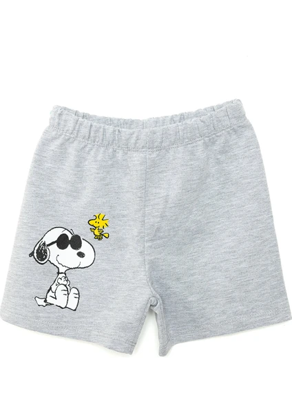 Snoopy - Peanuts 24Y Snoopy Şort Erkek Bebek