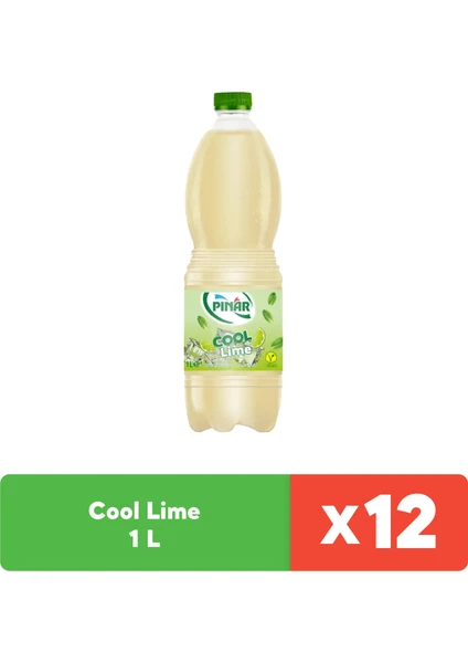 Cool Lime 1 lt x 12 Adet