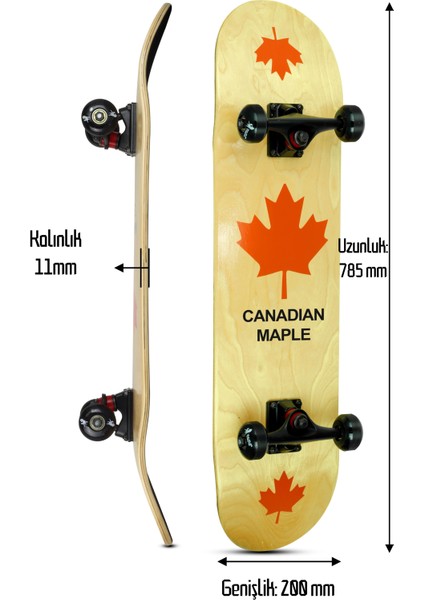Kemik Teker Kaykay Semi-Pro 8 Katman Yüzey Zımparalı Kaymaz Skateboard 80 cm Canadian Maple