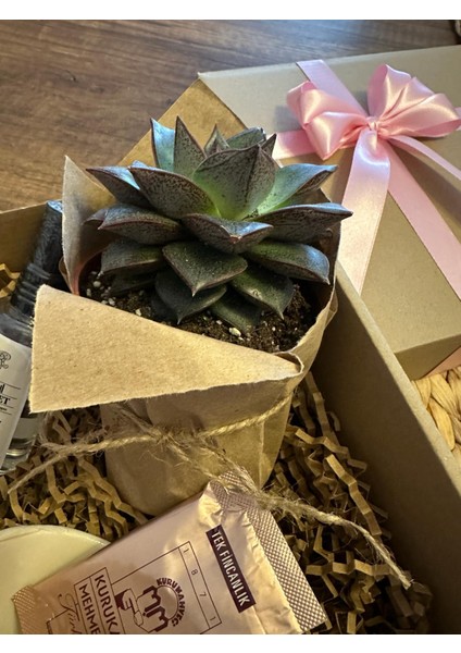 Anneye, Ablaya, Arkadaşa Çiçekli Doğum Günü Hediye Seti 2 modelleri