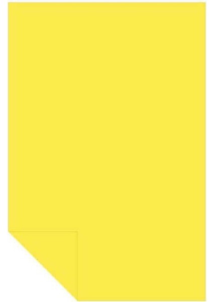 Kolej Fon Kartonu 1311/200 Altın 50X70 cm 100'LÜ 120 gr