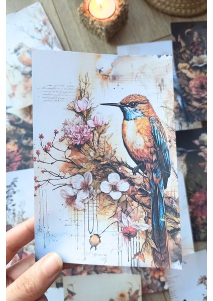 15 Adet Eskitme Vintage Kuş Temalı Scrapbook Kağıt Seti Bullet Journal Dekupaj Kağıdı