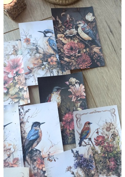 15 Adet Eskitme Vintage Kuş Temalı Scrapbook Kağıt Seti Bullet Journal Dekupaj Kağıdı