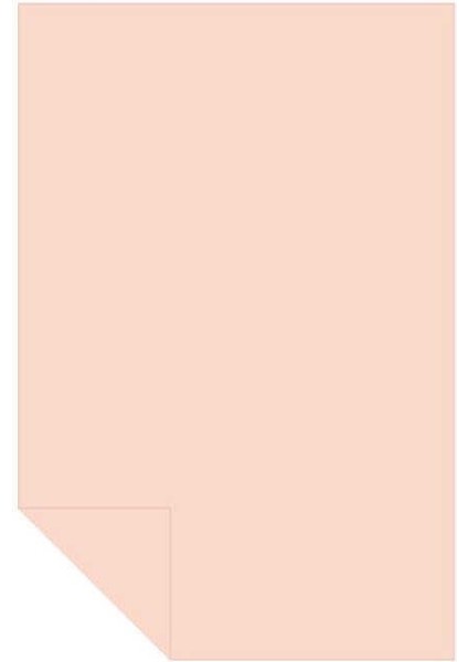 Kolej Fon Kartonu 160 gr Somon No:05 50X70 cm 100'LÜ