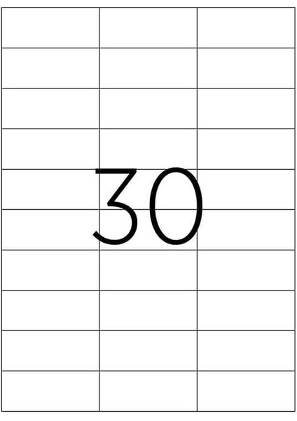 Laser Etiket Kod 2229 x 70MM x 29.7mm modelleri