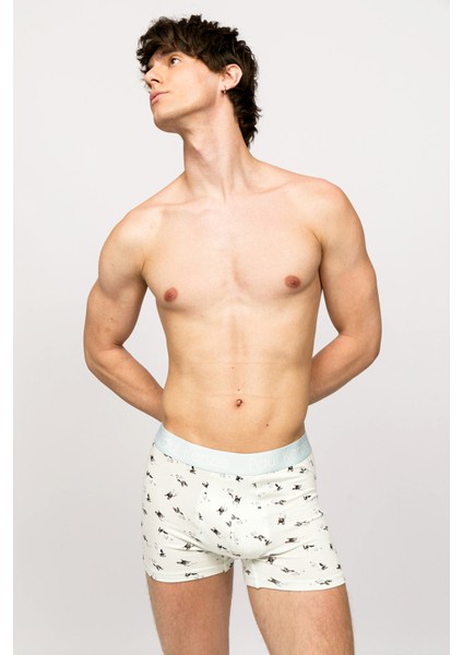 x Kurtaran Ev - Desenli Erkek Boxer - Frenchie fırsatları