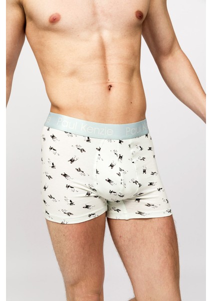 x Kurtaran Ev - Desenli Erkek Boxer - Frenchie indirimleri