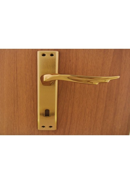 Berlin Albifirin Aynalı Kapı Kolu Wc Sol