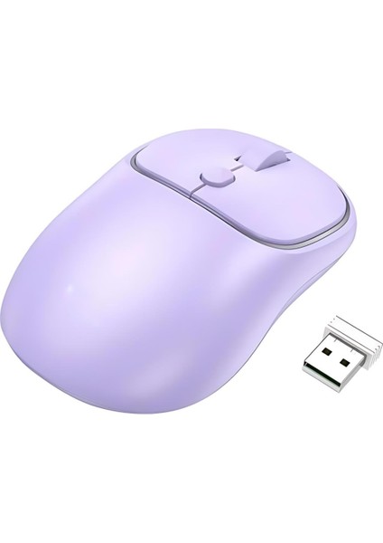 2.4g Çift Modlu Aerodinamik Sessiz Kablosuz Mouse, Windosw, Linux, Mac Os Uyumlu Mouse