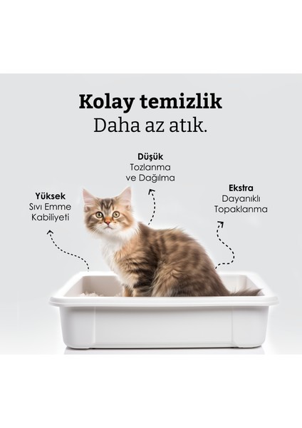 Aktif Karbon Kedi Kumu 10 Lt