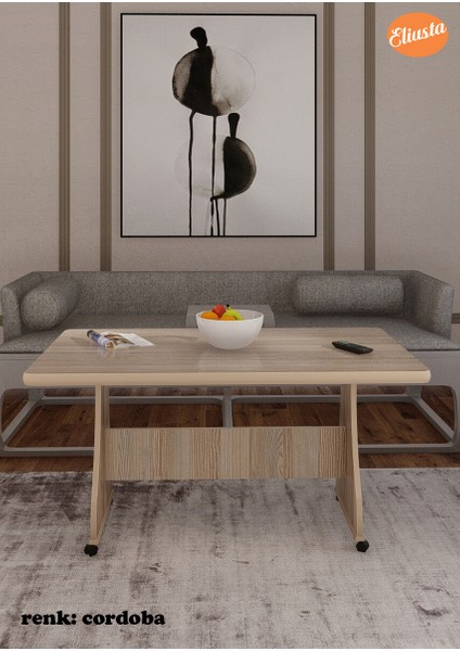 Tekerlekli Mdf Masa %100 Mdf Orta Sehpa Salon Sehpa fiyatları