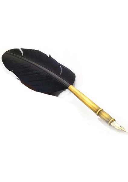 Orijinal Steel Pen Kuş Tüyü Divit Kalemi Seti fırsatları
