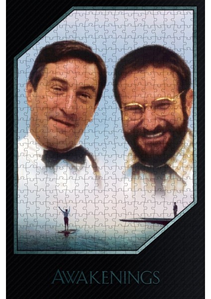 Awakenings (1990) Film Posterinin 500 Parça Puzzle Yapbozu Sürüm2