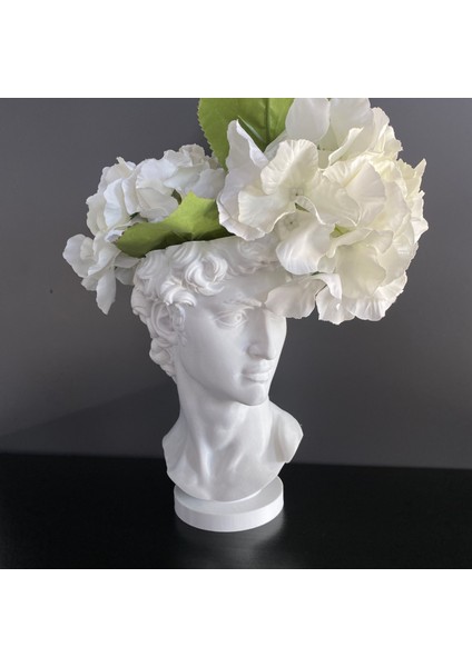 David Saksı Dekoratif David Büstü Saksı Model 20CM Davut Heykeli Ev Ofis Dekor