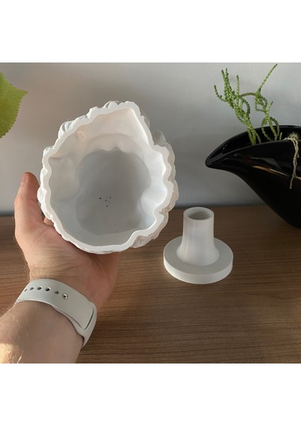 David Saksı Dekoratif David Büstü Saksı Model 20CM Davut Heykeli Ev Ofis Dekor
