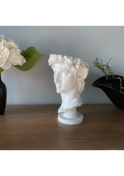 David Saksı Dekoratif David Büstü Saksı Model 20CM Davut Heykeli Ev Ofis Dekor