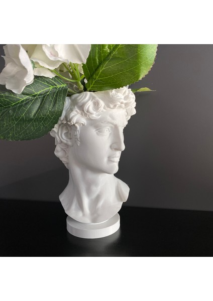 David Saksı Dekoratif David Büstü Saksı Model 20CM Davut Heykeli Ev Ofis Dekor