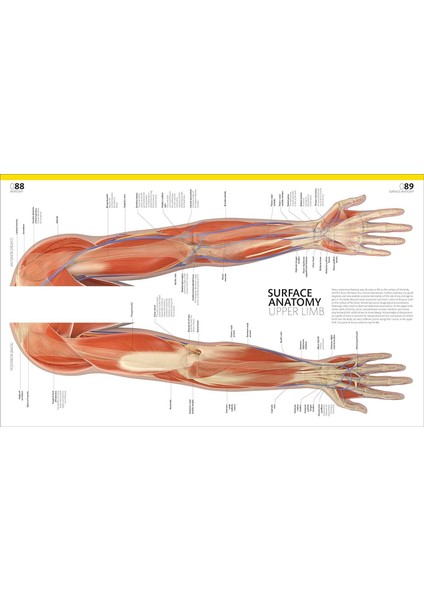 Complete Human Body - Alice Roberts