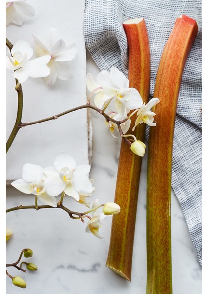 Wild Rhubarb Oda Kokusu, Çubuklu Oda Kokusu, Reed Diffuser 120 ml