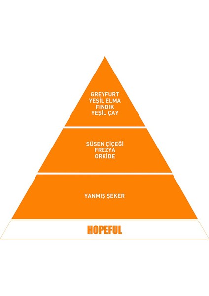 Vavana Flat Araba Kokusu Hopeful modelleri