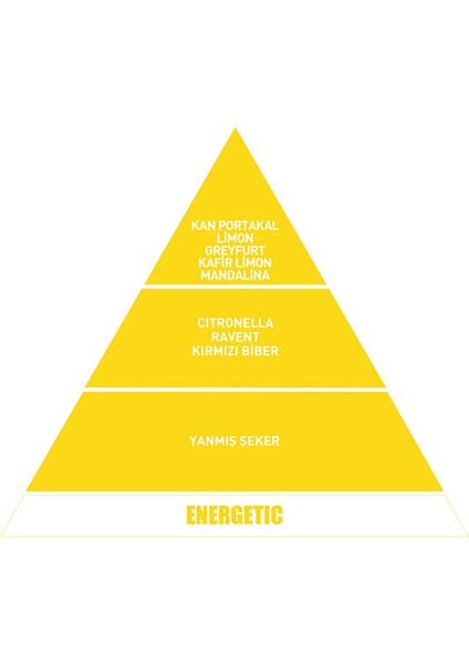 Vavana Flat Araba Kokusu Energetic modelleri