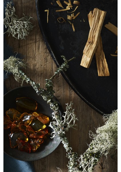 Oakmoss Oda Kokusu, Çubuklu Oda Kokusu, Reed Diffuser 120 ml