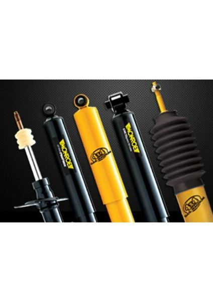 Arka Amortısor Sag-Sol R12 Sw