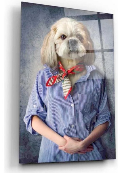 Köpek Cam Tablo