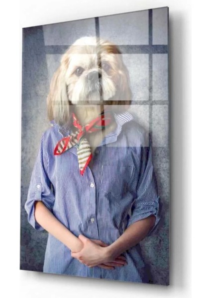 Köpek Cam Tablo