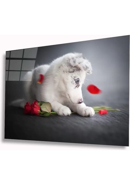 Köpek ve Gül Cam Tablo