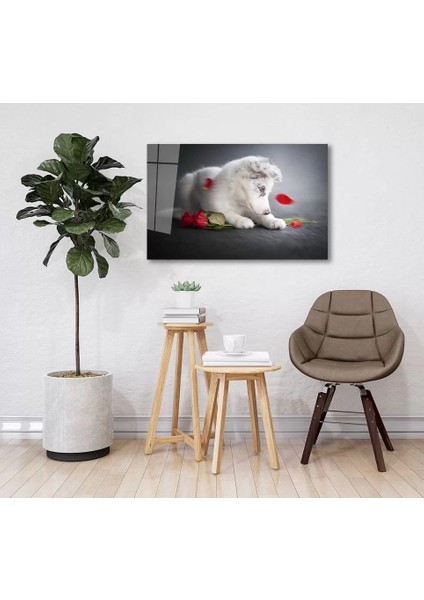 Köpek ve Gül Cam Tablo