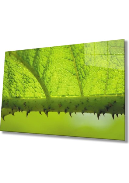 Dikenli Dal Yaprak Yeşil Cam Tablo