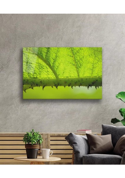 Dikenli Dal Yaprak Yeşil Cam Tablo fiyatları