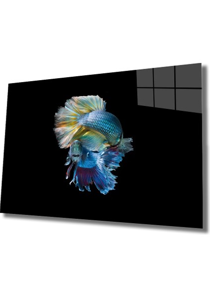Mavi Balıklar Cam Tablo Blue Fish