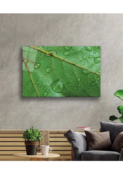 Su Damlası Yaprak Yeşil Cam Tablo fiyatları