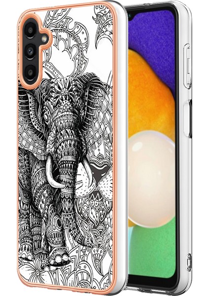 Samsung Galaxy A35 Telefon Kılıfı (Yurt Dışından)