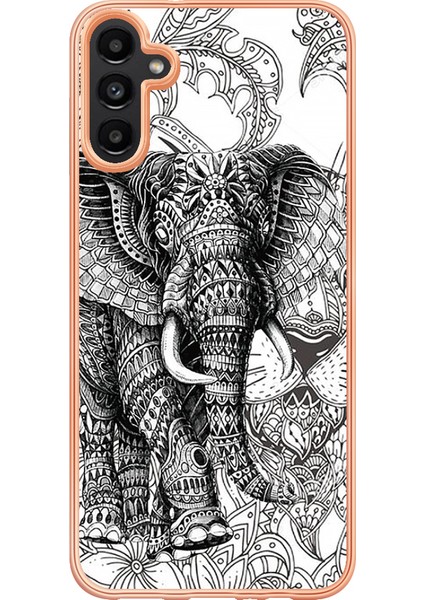 Samsung Galaxy A35 Telefon Kılıfı (Yurt Dışından) modelleri