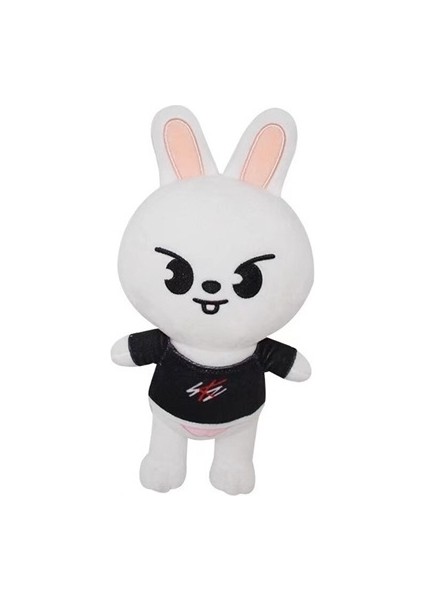 Skzoo Periferik Stray Kids Sokak Çocukları Için Hediyeler (Yurt Dışından)