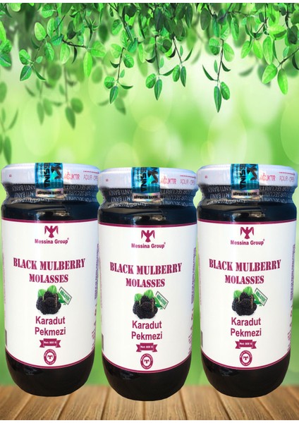 Organik Karadut Pekmezi / Organic Black Milberry Molasses / 800 gr